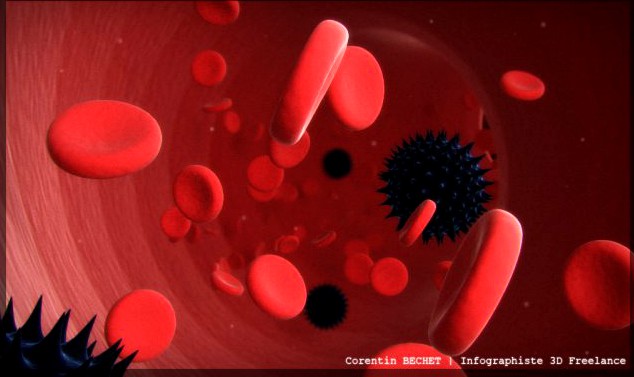 Download free BLOOD FLUX 3D Model