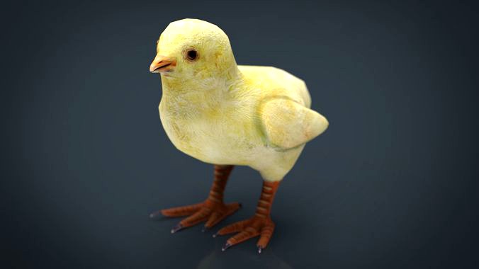 Chick