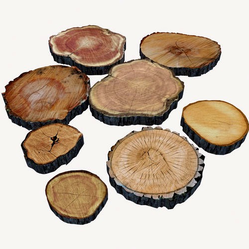 Wood Log Slices