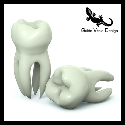 Molar Tooth
