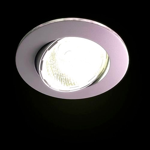 Swivel Ceiling Light