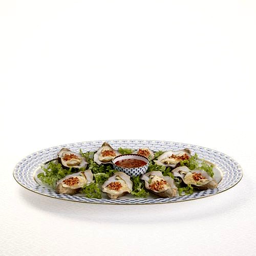 Oysters In Half Shell On Porcelain Plate