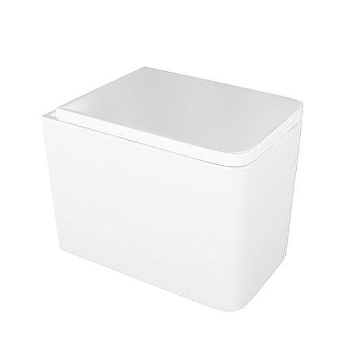 Acrylic White Toilet Bowl