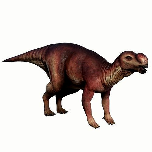 Muttaburrasaurus