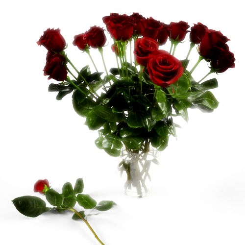 Red roses in glass vase