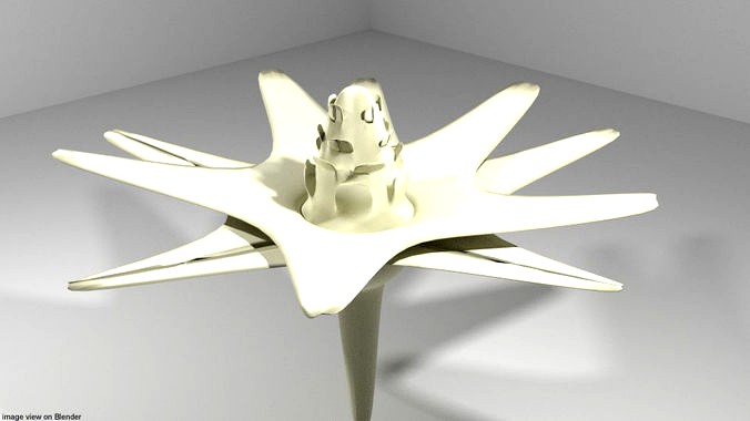 Flower - Cape