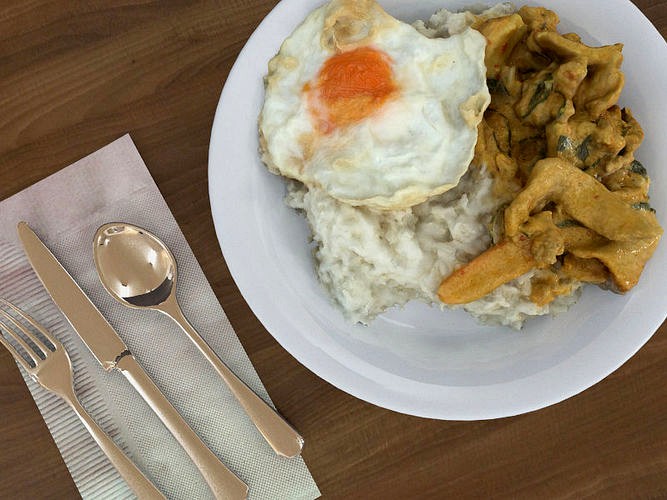 Plate of Food Rice and Egg