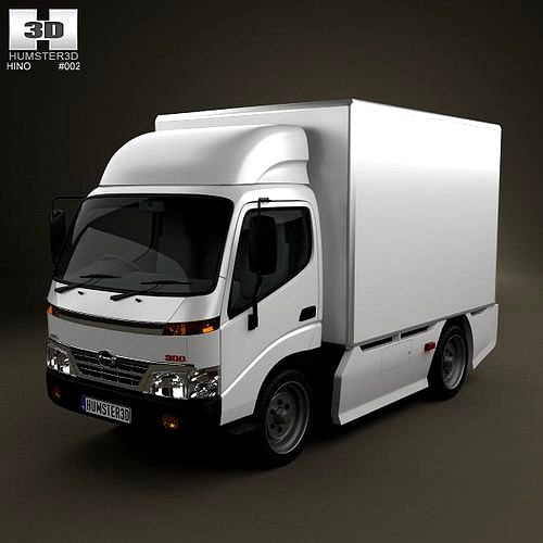 Hino 300 Standard Cab Box 2010