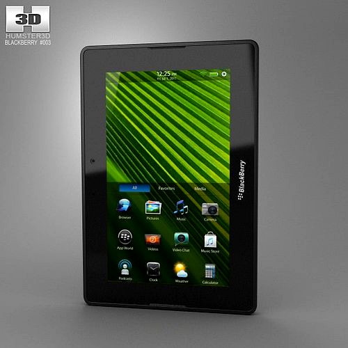 BlackBerry PlayBook