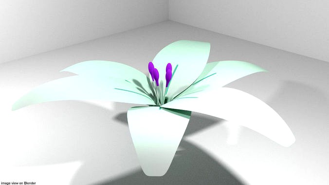 Flower - Lily