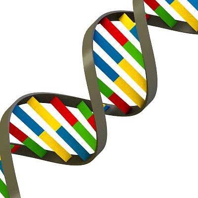 Simple DNA Strand