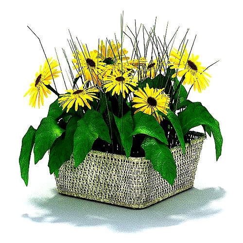 Basket Full Of Sunflowers
