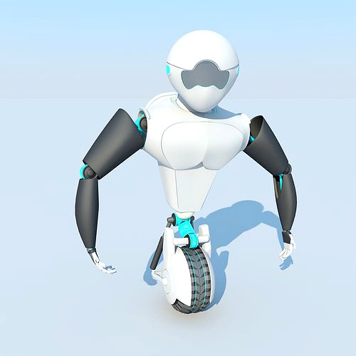 Robot MAX 2011