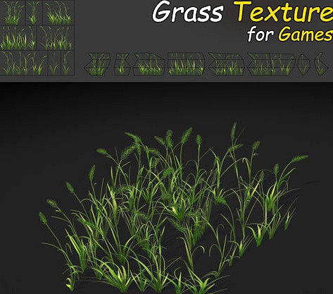 WheatGrass Texture