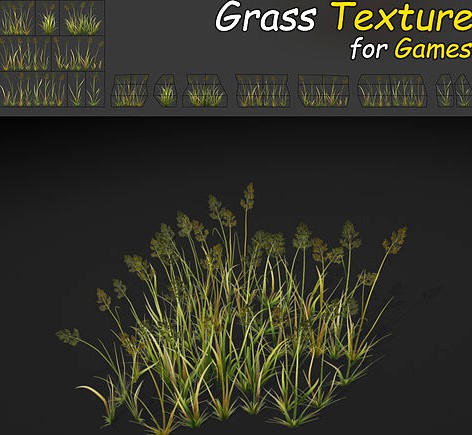 Bent Grass Texture
