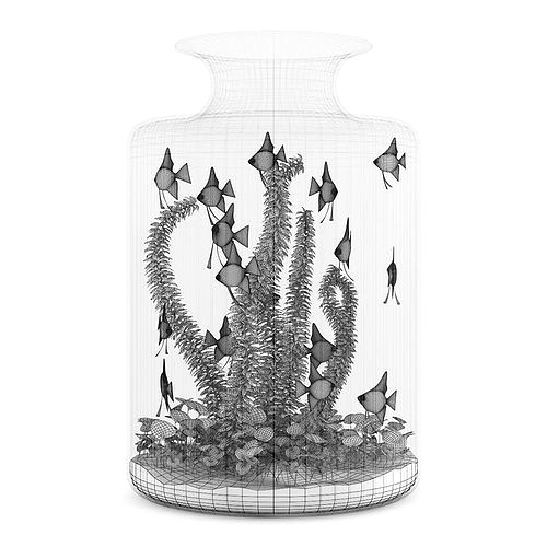 Jar-looking Aquarium