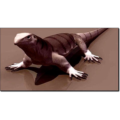 Monitor Lizard Studio Max