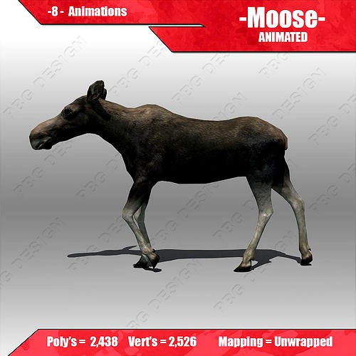 Moose Female Animated
