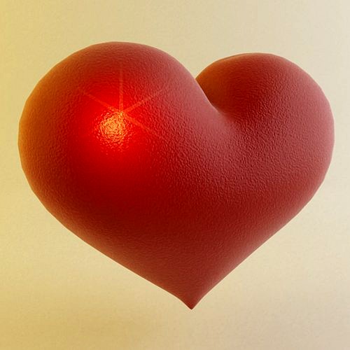 Heart 3D Model