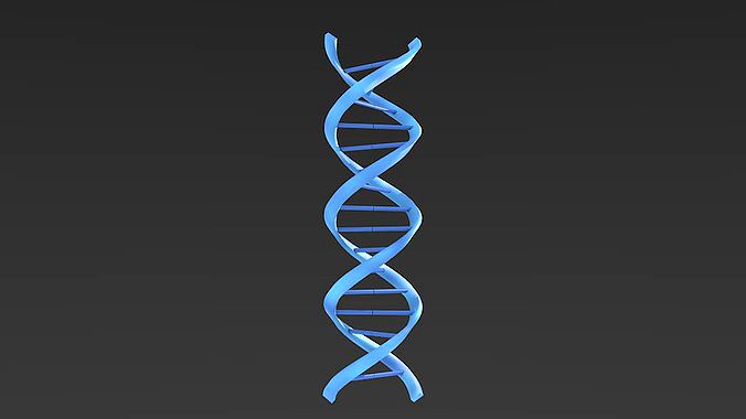 DNA helix