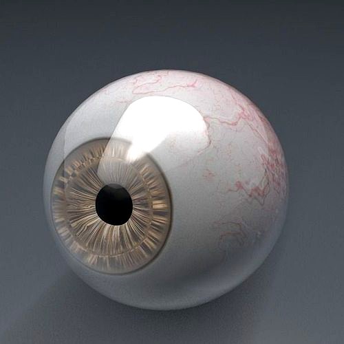 Human eye