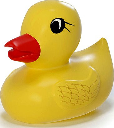 Rubber duck