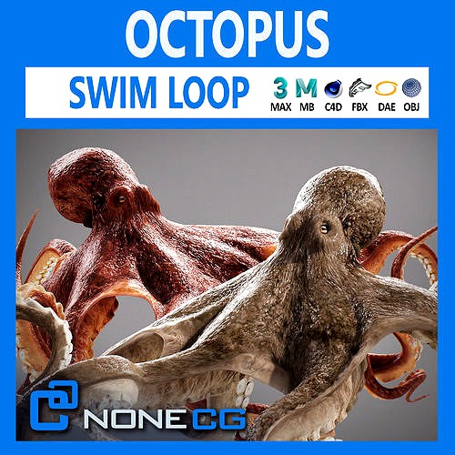 Animated Octopus v2