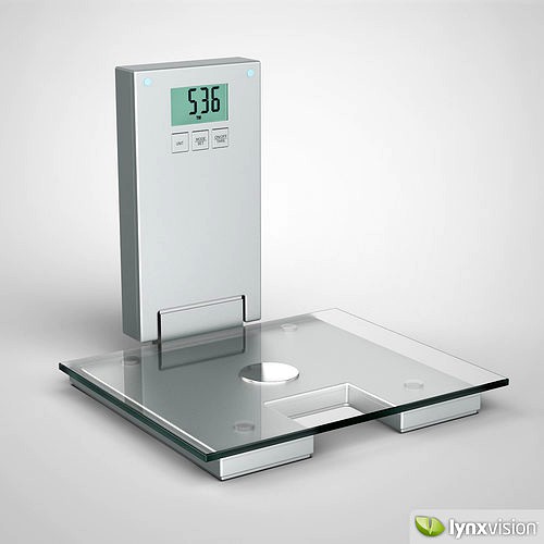 Digital Scale