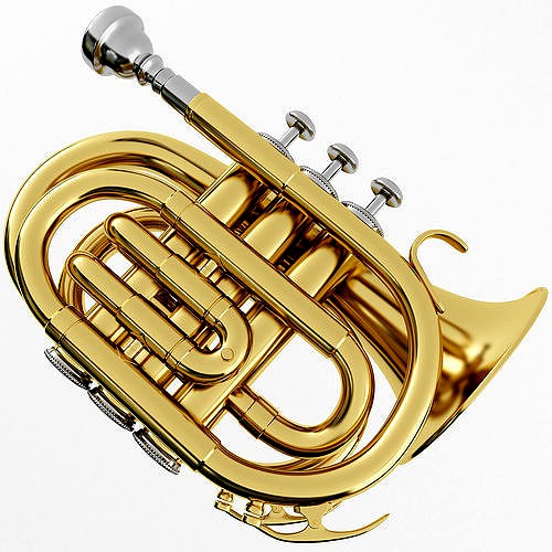 Pocket Trumpet