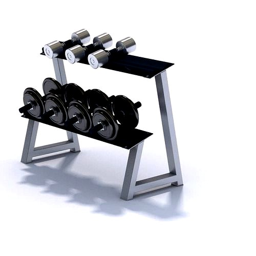 Dumbbell Rack With Dumbbells