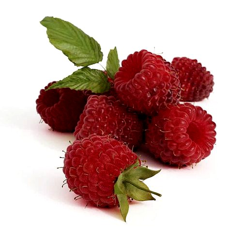Red Raspberries With Green Stems