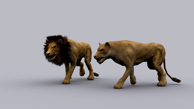 LION GAME READY ANIMATED MODEL