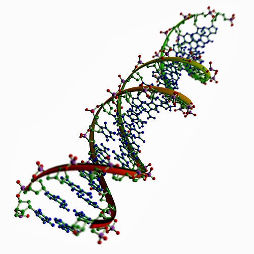 DNA chains