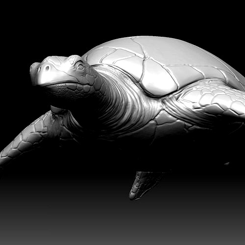 Sea Turtle Zbrush Model
