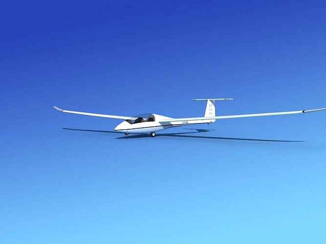 Duo Discus Sailplane