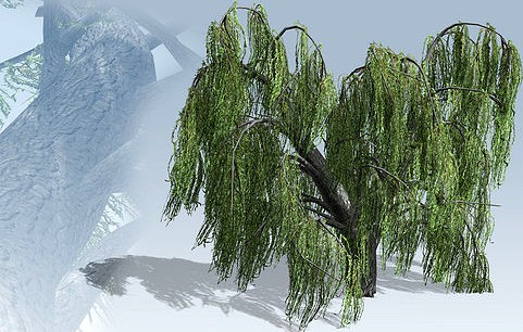 Weeping Willow Tree Set