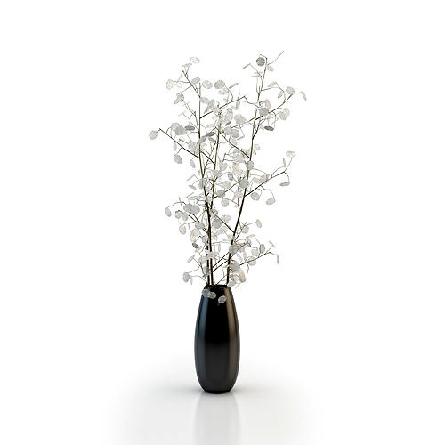 Vase with Lunaria Plant