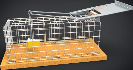 Mousetrap 3D Model