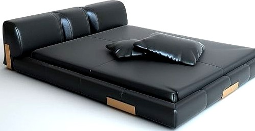 Contemporary Bed
