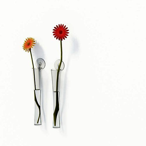 Sleek Wall Mounted Flower Vases