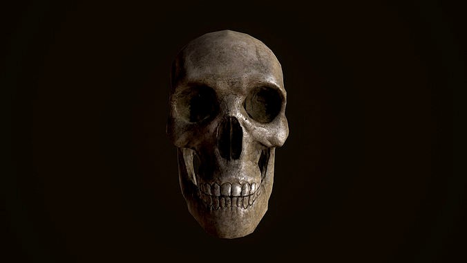 Skull