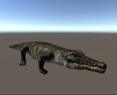 Unity Crocodile