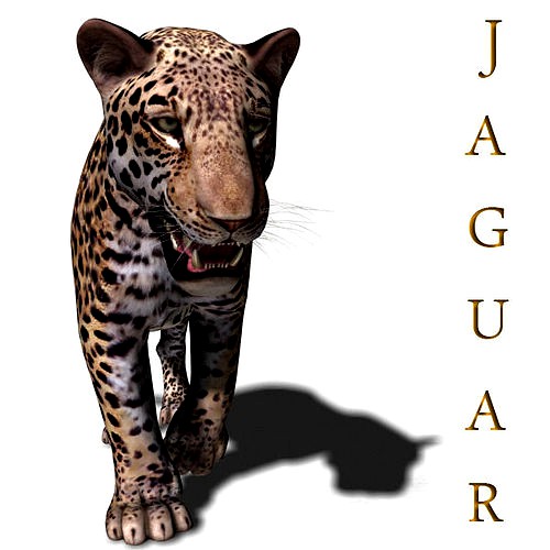 Realistic Jaguar - no fur 3d model