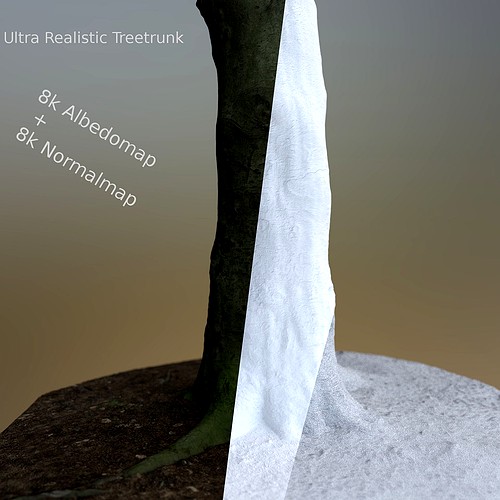 Ultra realistic Treetrunk