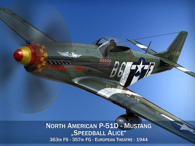 North American P-51D Mustang - Speedball Alice