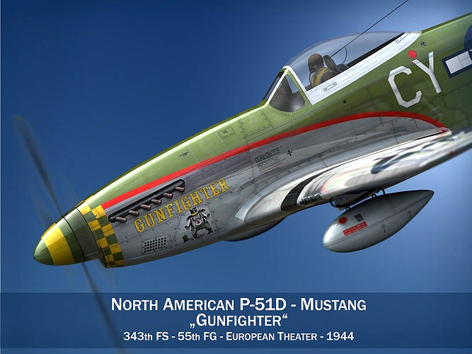 North American P-51D - Gunfighter