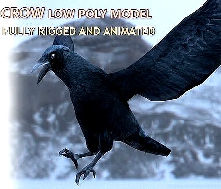 Crow Rigged and Animated