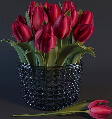 Red tulips