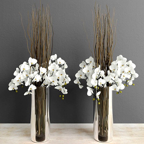 White orchids with willow branches in tall glass vase