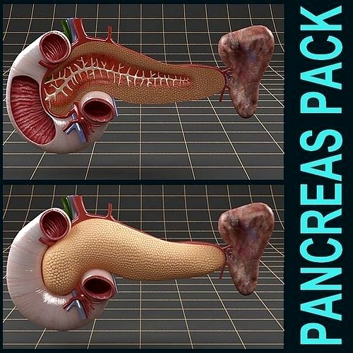 Anatomy pancreas duodenum spleen PACK